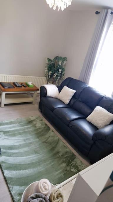 16 Stewart'S Terrace Derry City Bt48 7Ljヴィラ エクステリア 写真