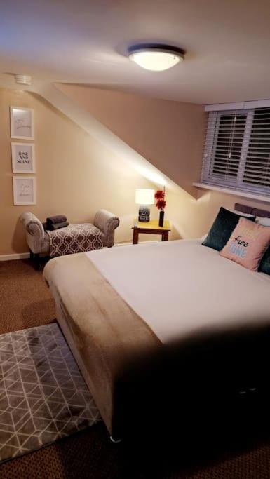 16 Stewart'S Terrace Derry City Bt48 7Ljヴィラ エクステリア 写真