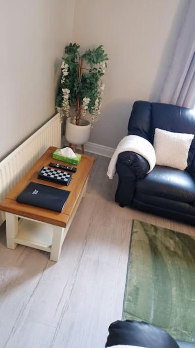 16 Stewart'S Terrace Derry City Bt48 7Ljヴィラ エクステリア 写真